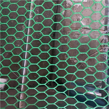 塑料网塑料养鸡围网阳台防护防坠围栏塑料网格防猫封窗防护网
