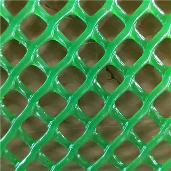 供应鸡鸭鹅养殖塑料网垫 漏粪网垫小孔网片塑料平网