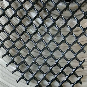 供应黑色塑料平网聚乙烯牡蛎养殖网袋苗床网育雏网可制作